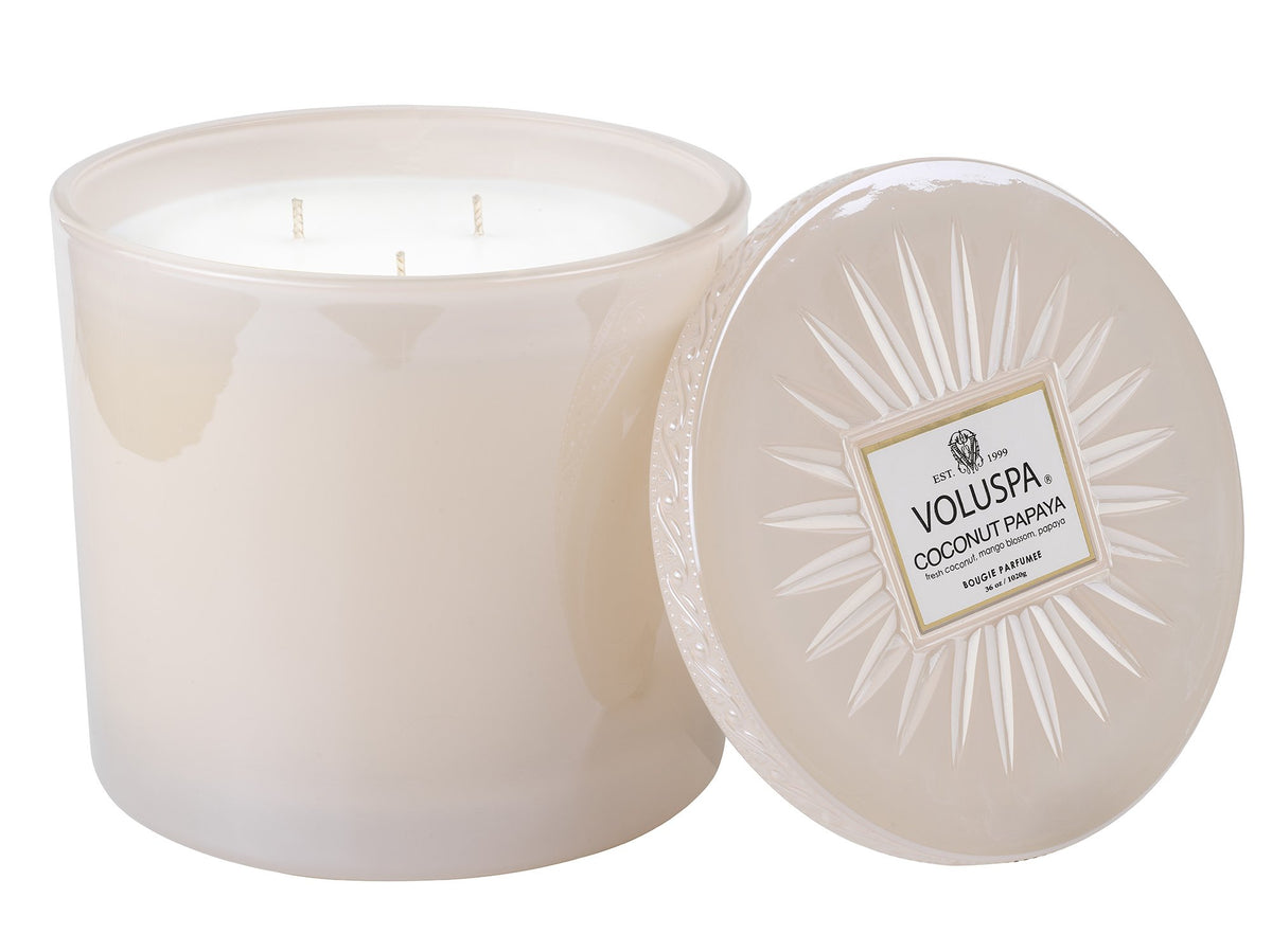 Coconut Papaya - Grande Maison Candle - 5