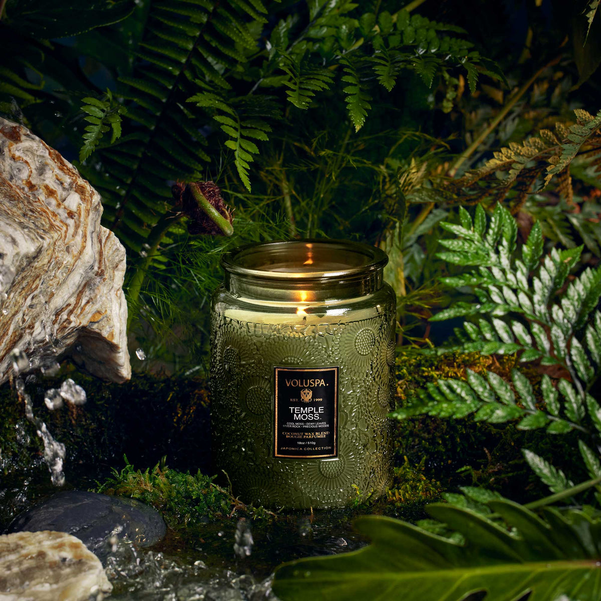 Temple Moss - Large Jar Candle - 4