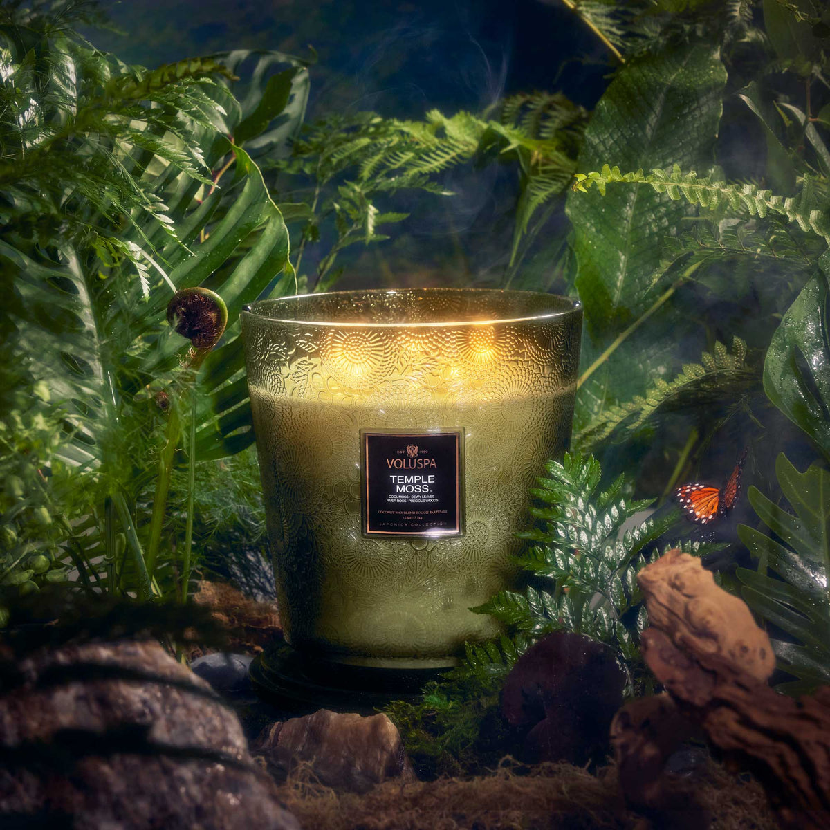 Temple Moss - 5 Wick Hearth Candle - 3