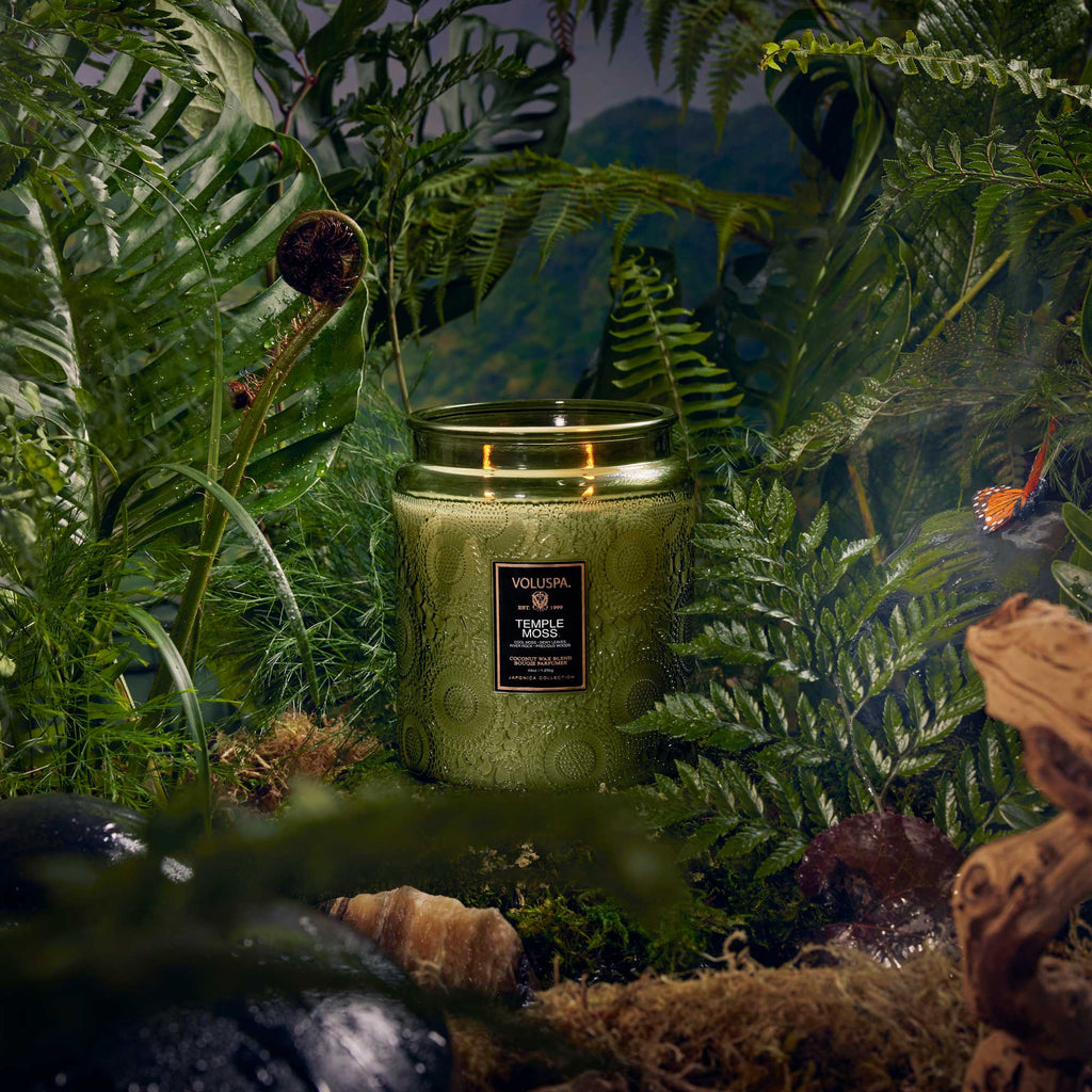 Temple Moss - Luxe Jar Candle Zoom - 3