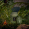 Temple Moss - Small Jar Candle Thumbnail - 2
