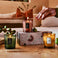Fragrant Foliage - 3 Demi Candle Gift Set Thumbnail - 2