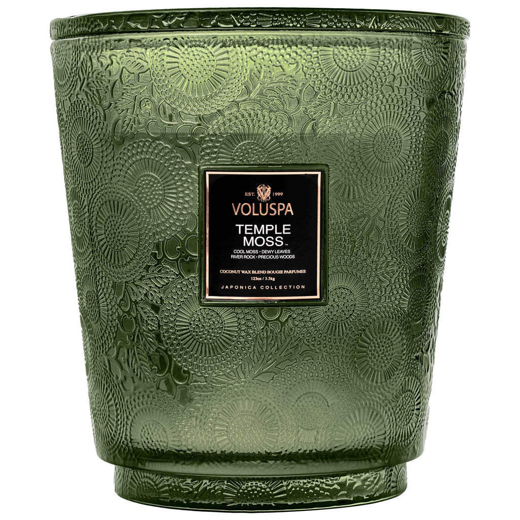 Temple Moss - 5 Wick Hearth Candle Zoom - 1