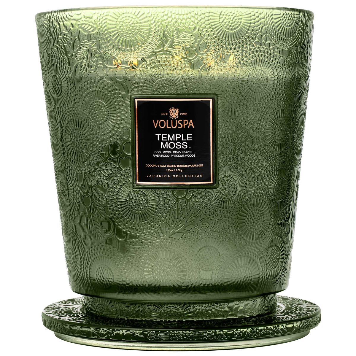 Temple Moss - 5 Wick Hearth Candle - 4