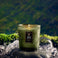 Temple Moss - Classic Candle Thumbnail - 3