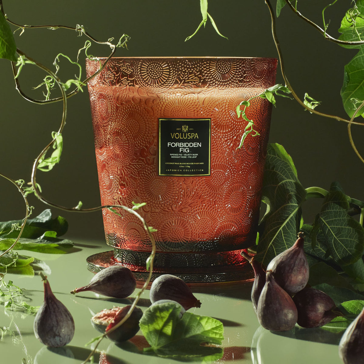 Forbidden Fig - 5 Wick Hearth Candle - 5