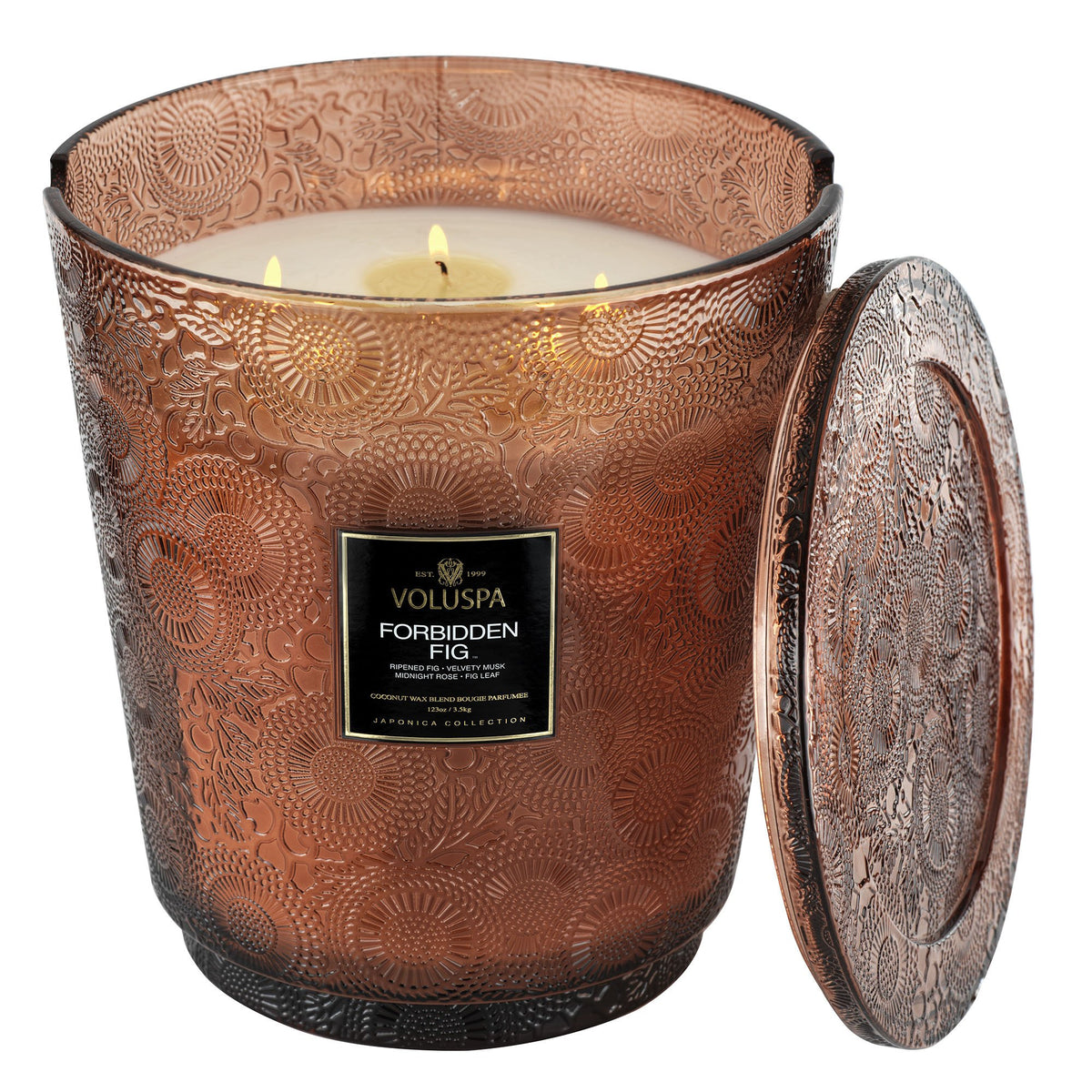 Forbidden Fig - 5 Wick Hearth Candle - 4