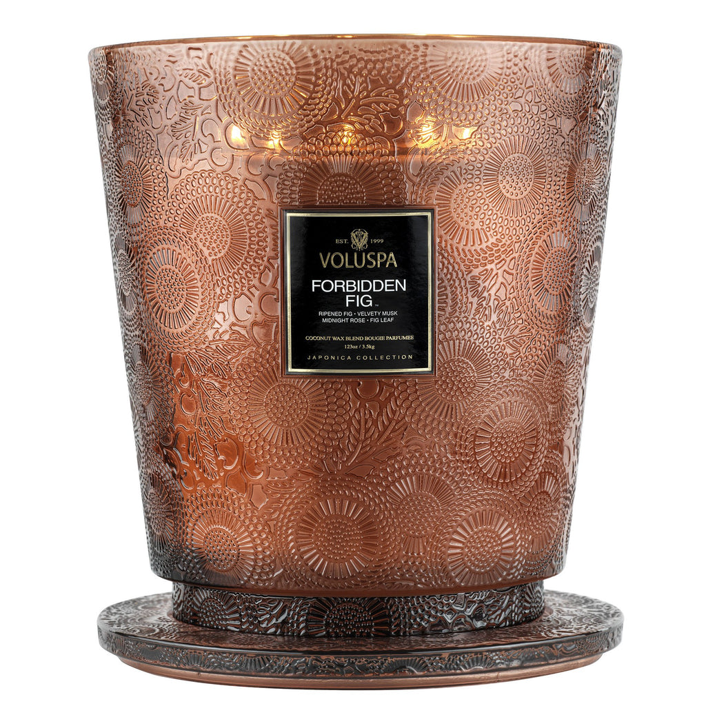 Forbidden Fig - 5 Wick Hearth Candle Zoom - 3