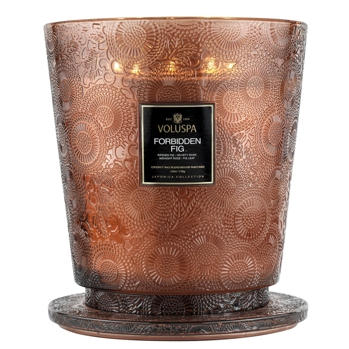 Forbidden Fig - 5 Wick Hearth Candle - 3