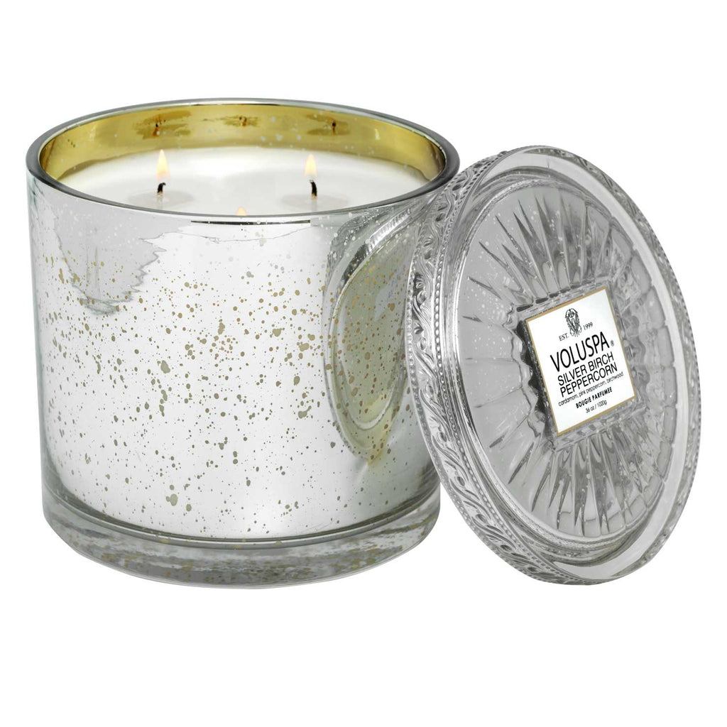 Silver Birch Peppercorn - Grande Maison Candle Zoom - 1