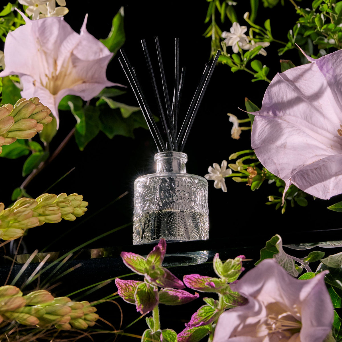 Jasmine Midnight Blooms - Reed Diffuser - 3