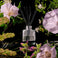 Jasmine Midnight Blooms - Reed Diffuser Thumbnail - 3
