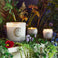 Wildflowers - Luxe Candle Thumbnail - 3